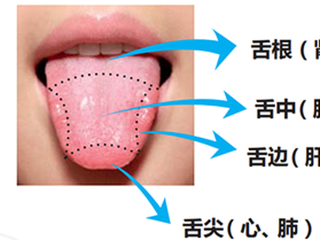 正常舌象与望舌的意义